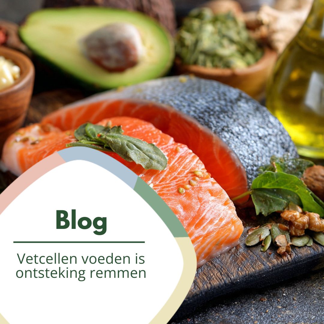 Vetcellen voeden is ontsteking remmen